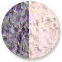 Dehydrated Onion Granules